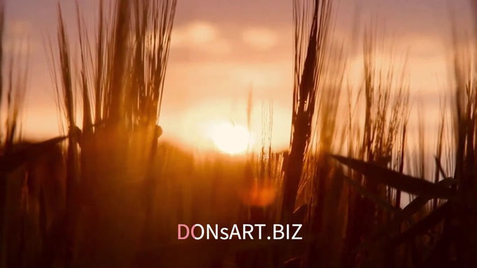 DONsART.BIZ Video